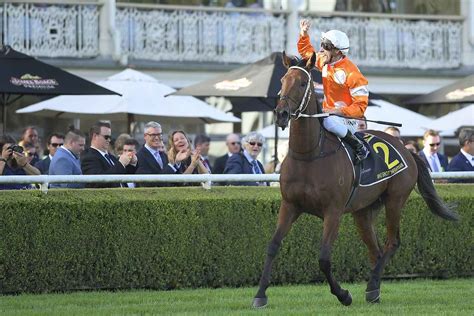 sydney cup results|Sydney Cup .